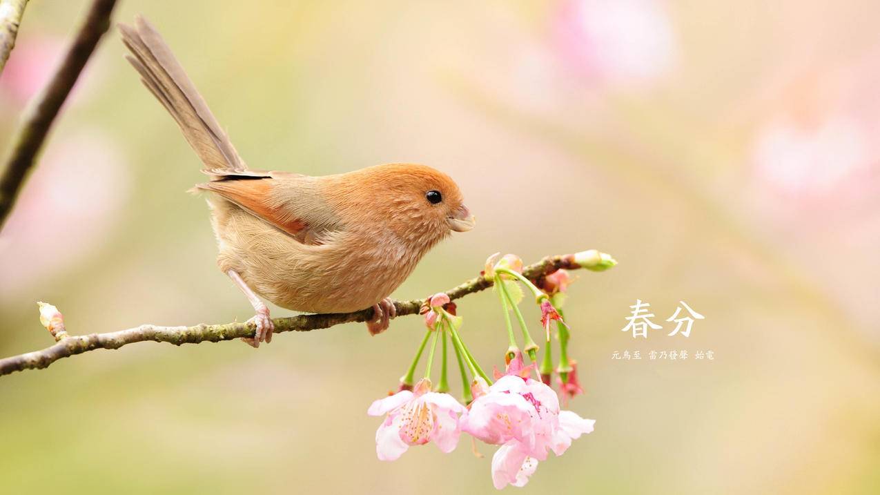 24小时抖音点赞在线自助平台秒到怎么,ks免费业务平台低价,24小时自助下单商城